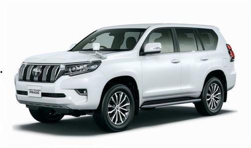 最新普拉多爆料视频大全,最新爆料视频大盘点