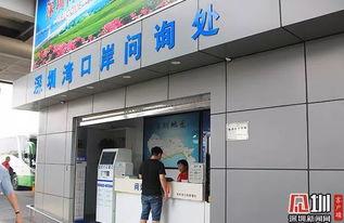 深圳爆料论坛官网最新,聚焦城市生活热点与民生动态