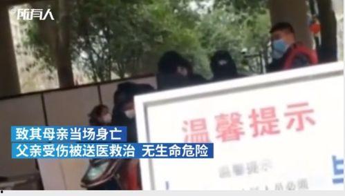 南宁龙岗命案最新爆料消息,疑点重重，案情再掀波澜